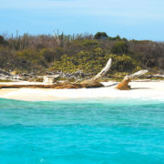 Playa Isla Catalina